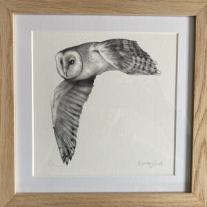 Barney Owl Designed and Illustrated by Rachael Leah Skinner- A limited edition print, signed and numbered. Hand drawing illustration in pencil, grey scale. 8x8 inch print in a 10x10 inch border. High quality Giclee print. Printed on beautifully thick Somerset Velvet Watercolour paper with Ultra Chrome K3 inks which are approved by the Fine Art Trade Guild for lightfastness. This paper exhibits high definition and dept of colour, providing a perfect whiteness for these striking images.
