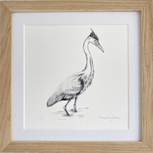 Humphrey Heron Designed and Illustrated by Rachael Leah Skinner- A limited edition print, signed and numbered. Hand drawing illustration in pencil, grey scale. 8x8 inch print in a 10x10 inch border. High quality Giclee print. Printed on beautifully thick Somerset Velvet Watercolour paper with Ultra Chrome K3 inks which are approved by the Fine Art Trade Guild for lightfastness. This paper exhibits high definition and dept of colour, providing a perfect whiteness for these striking images.